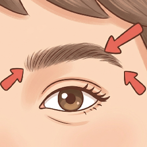 眉毛